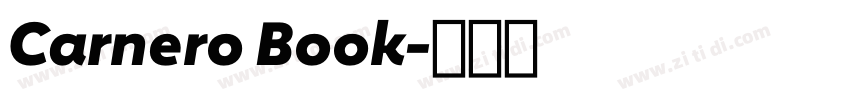 Carnero Book字体转换